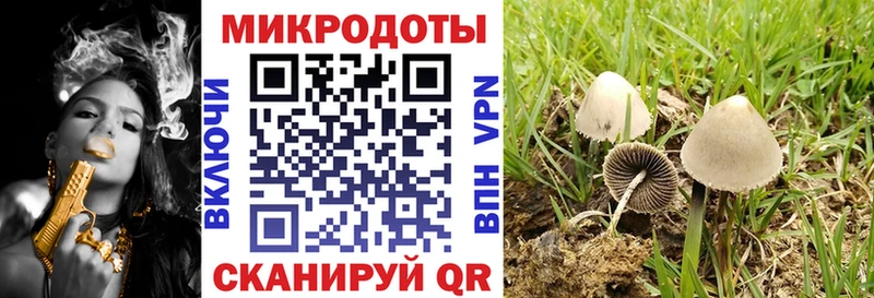 где можно купить наркотик  Короча  МЕГА вход  Псилоцибиновые грибы Psilocybe 